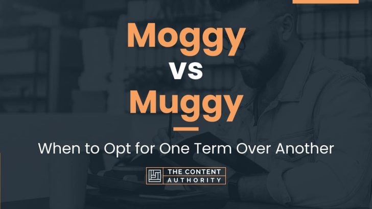 Moggy vs Muggy: When to Opt for One Term Over Another