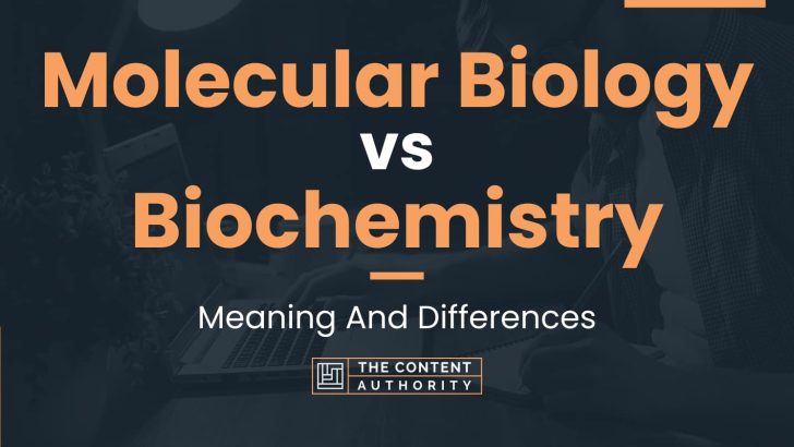 molecular-biology-vs-biochemistry-meaning-and-differences