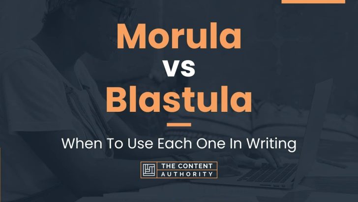 Morula vs Blastula: When To Use Each One In Writing