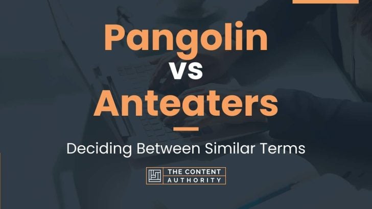 Pangolin vs Anteaters: Deciding Between Similar Terms