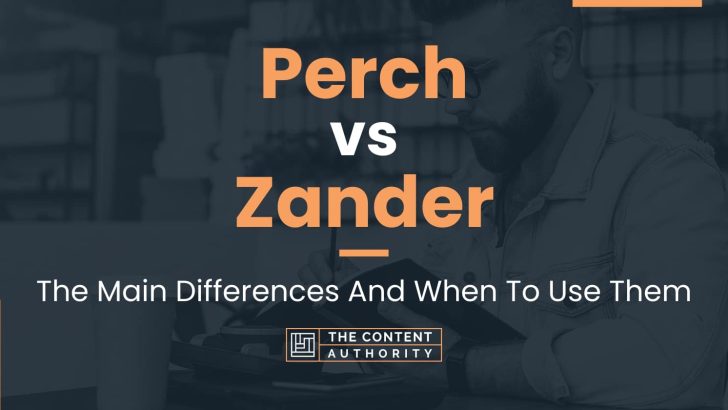 Perch vs Zander: The Main Differences And When To Use Them