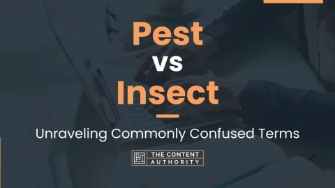 Pest vs Insect: Unraveling Commonly Confused Terms