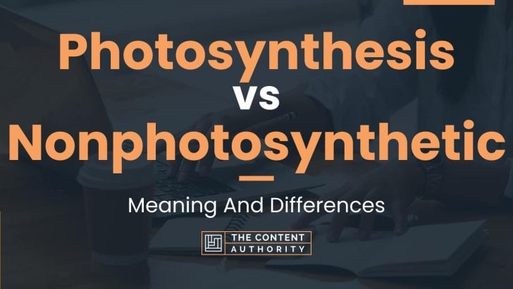 Photosynthesis vs Nonphotosynthetic: Meaning And Differences