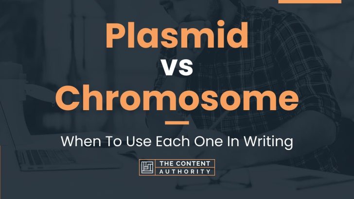 Plasmid vs Chromosome: When To Use Each One In Writing