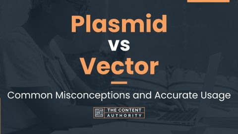 Plasmid vs Vector: Common Misconceptions and Accurate Usage