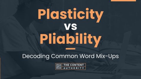 Plasticity vs Pliability: Decoding Common Word Mix-Ups