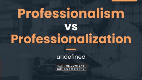 Professionalism vs Professionalization: undefined