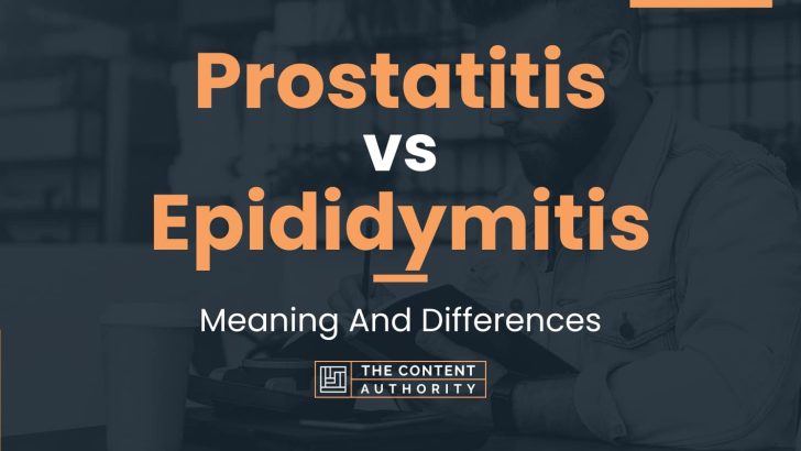 Prostatitis vs Epididymitis: Meaning And Differences