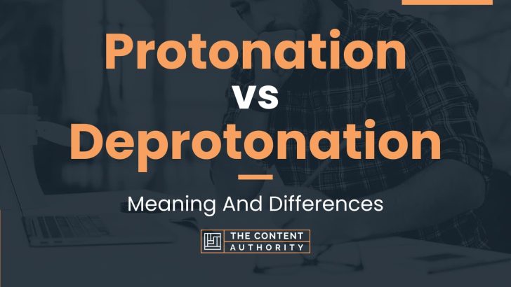 Protonation vs Deprotonation: Meaning And Differences