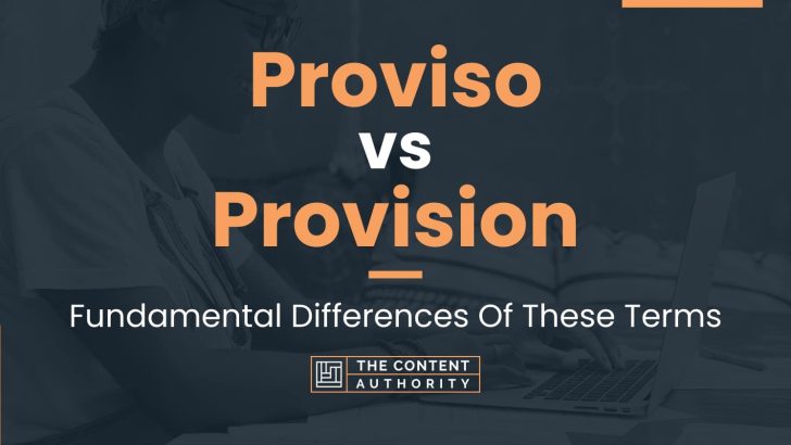 Proviso vs Provision: Fundamental Differences Of These Terms