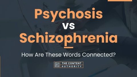 Psychosis Vs Schizophrenia: How Are These Words Connected?