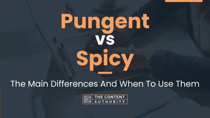 Pungent vs Spicy: The Main Differences And When To Use Them