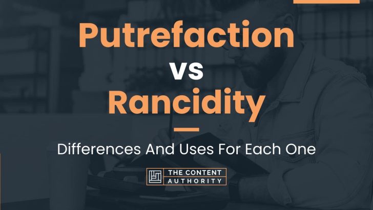 Putrefaction vs Rancidity: Differences And Uses For Each One