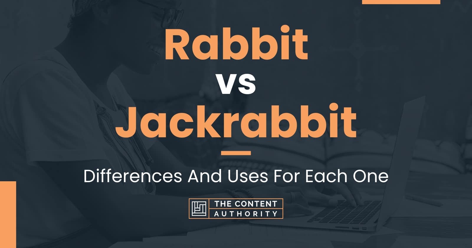 Rabbit vs Jackrabbit: Differences And Uses For Each One