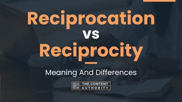 Reciprocation vs Reciprocity: Meaning And Differences