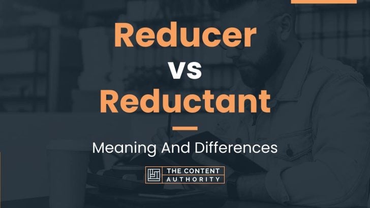 Reducer vs Reductant: Meaning And Differences