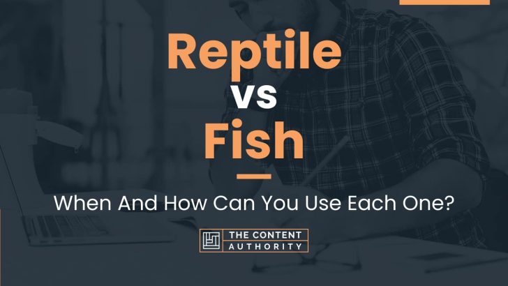 Reptile vs Fish: When And How Can You Use Each One?
