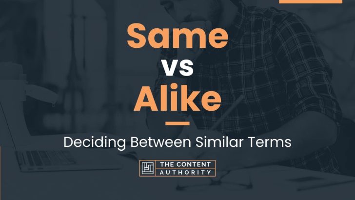 Same vs Alike: Deciding Between Similar Terms