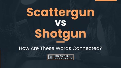 Scattergun vs Shotgun: How Are These Words Connected?