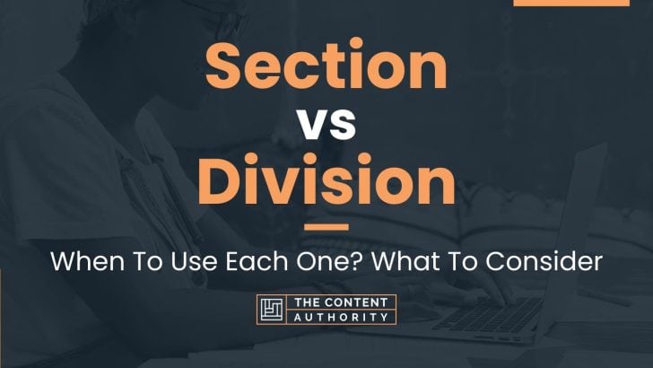 Section vs Division: When To Use Each One? What To Consider