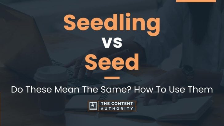 Seedling vs Seed: Do These Mean The Same? How To Use Them