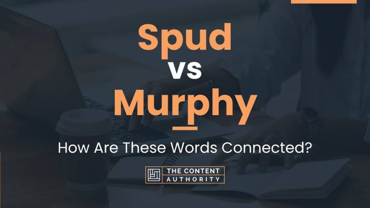 Spud vs Murphy: How Are These Words Connected?