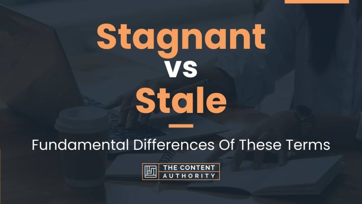 Stagnant vs Stale: Fundamental Differences Of These Terms