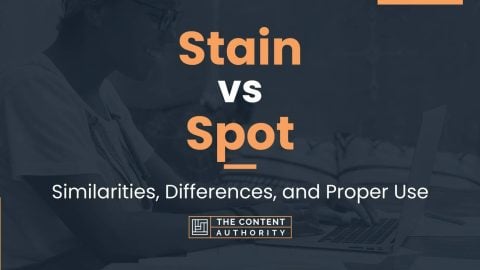 Stain vs Spot: Similarities, Differences, and Proper Use