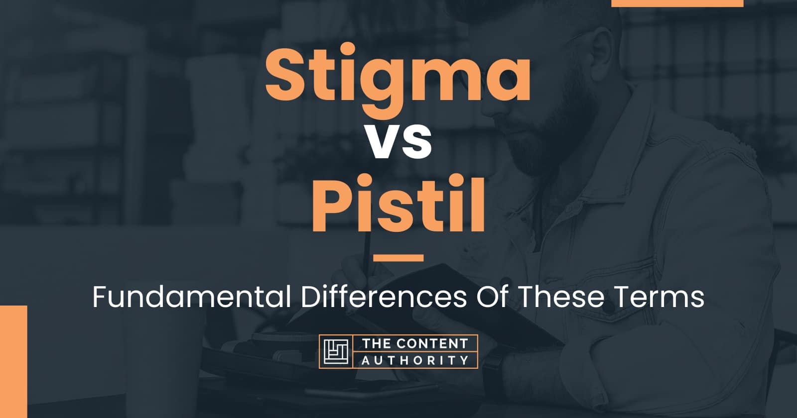 stigma-vs-pistil-fundamental-differences-of-these-terms