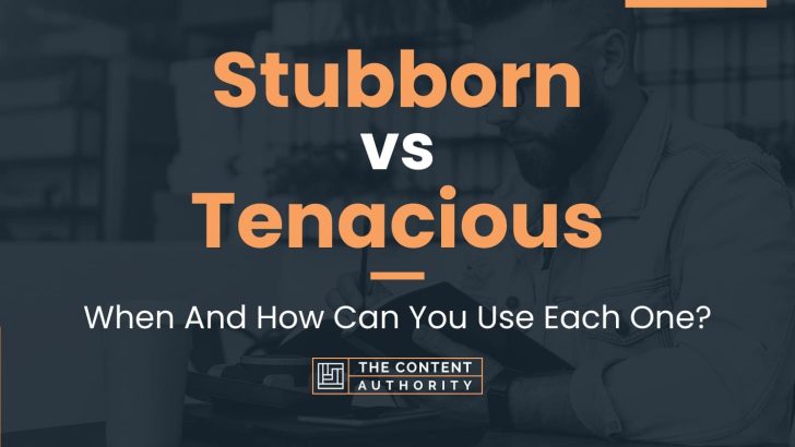 Stubborn vs Tenacious: When And How Can You Use Each One?