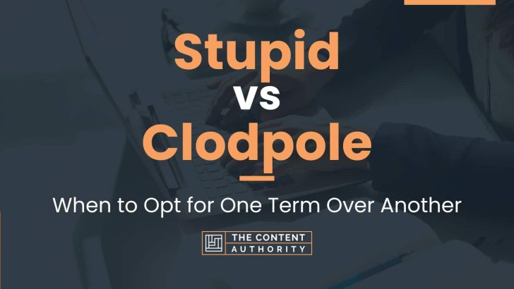 Stupid vs Clodpole: When to Opt for One Term Over Another