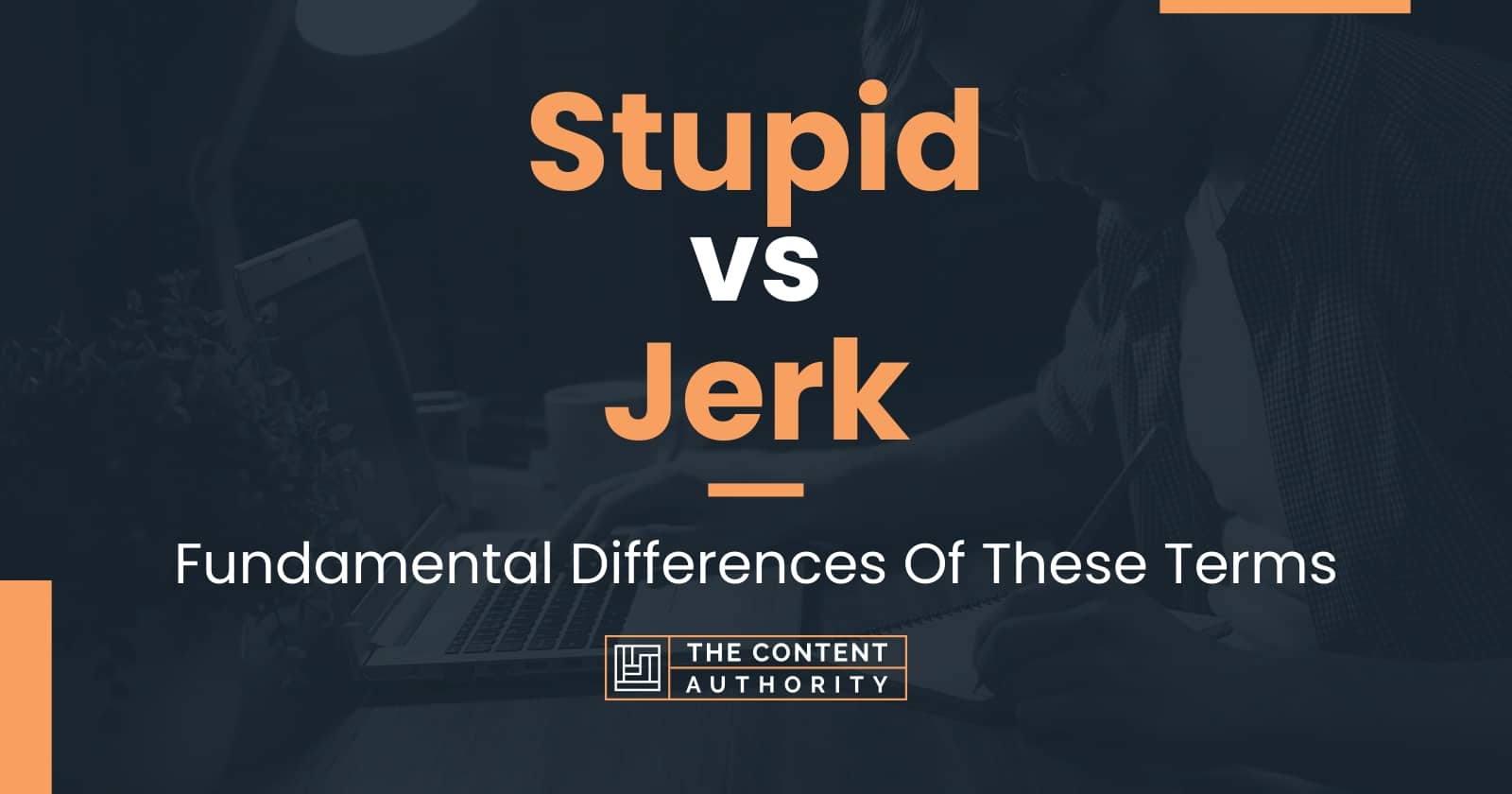 stupid-vs-jerk-fundamental-differences-of-these-terms