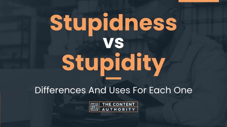 Stupidness vs Stupidity: Differences And Uses For Each One