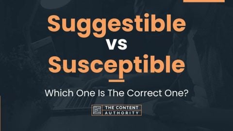 Suggestible vs Susceptible: Which One Is The Correct One?