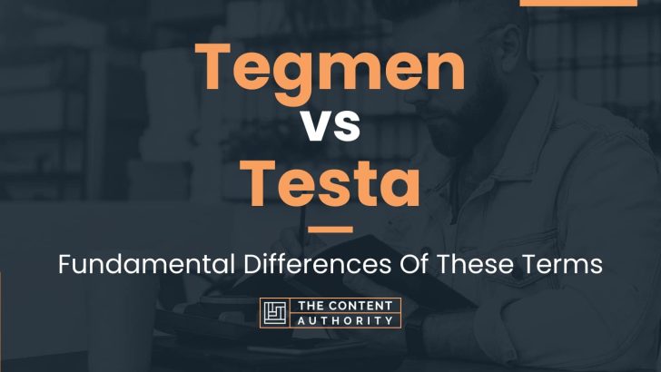Tegmen vs Testa: Fundamental Differences Of These Terms