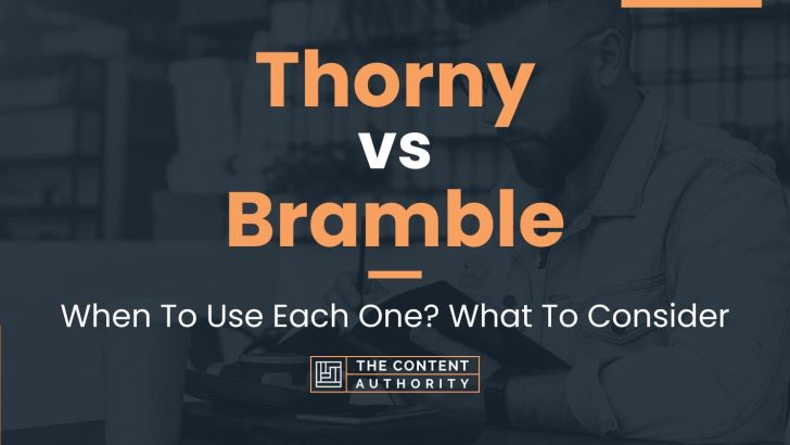 Thorny vs Bramble: When To Use Each One? What To Consider