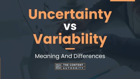 Uncertainty vs Variability: Meaning And Differences