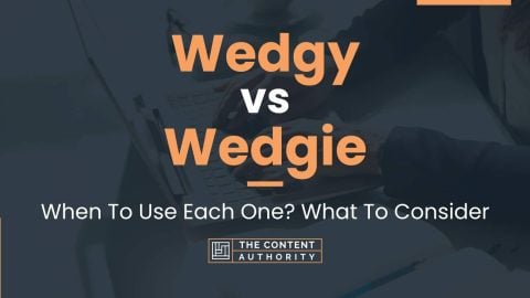 Wedgy vs Wedgie: When To Use Each One? What To Consider