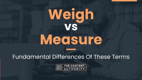 Weigh vs Measure: Fundamental Differences Of These Terms