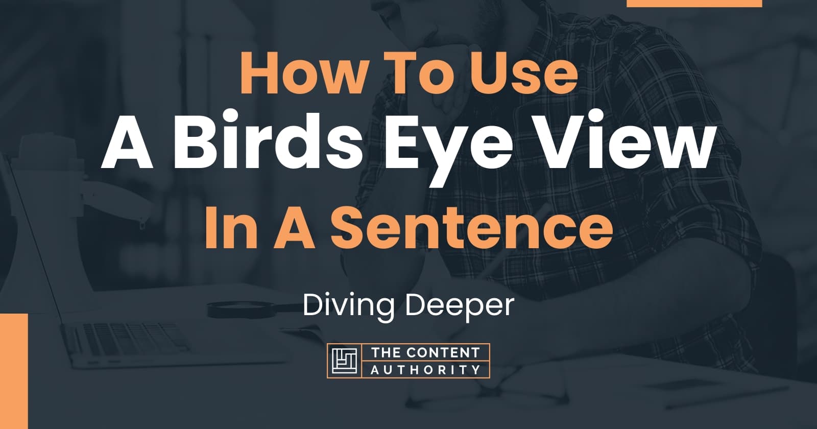 how-to-use-a-birds-eye-view-in-a-sentence-diving-deeper