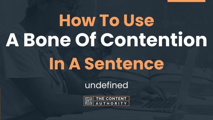 How To Use “A Bone Of Contention” In A Sentence: undefined