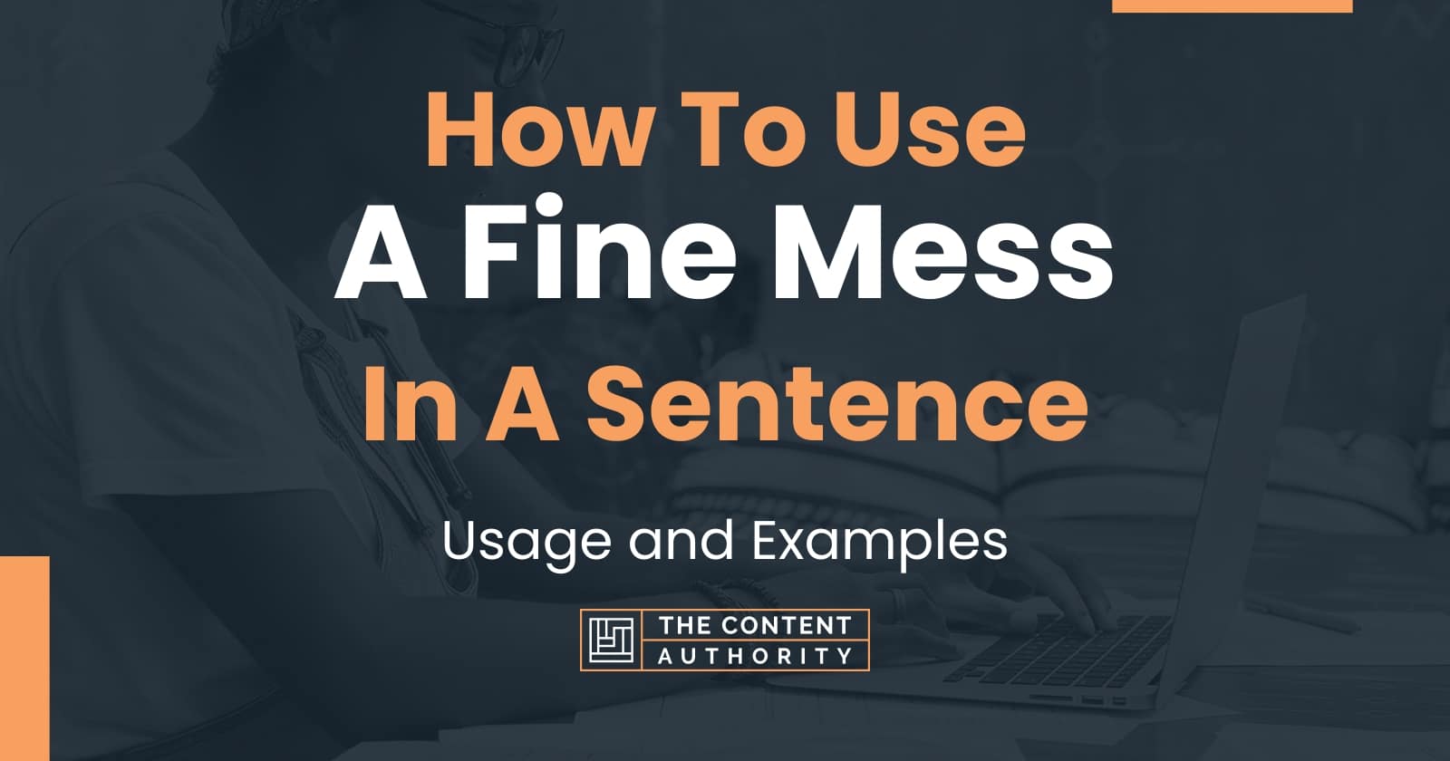 How To Use A Fine Mess In A Sentence Usage And Examples