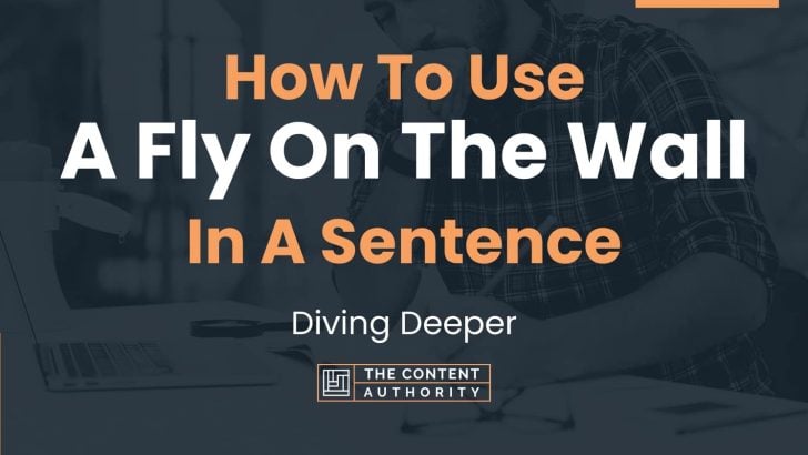 How To Use “A Fly On The Wall” In A Sentence: Diving Deeper