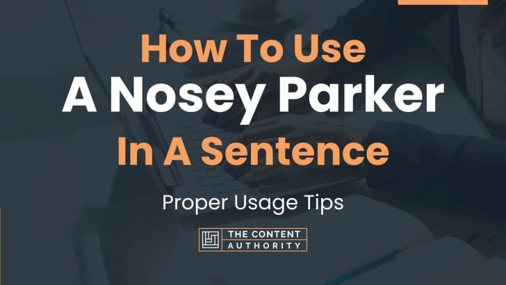 how-to-use-a-nosey-parker-in-a-sentence-proper-usage-tips