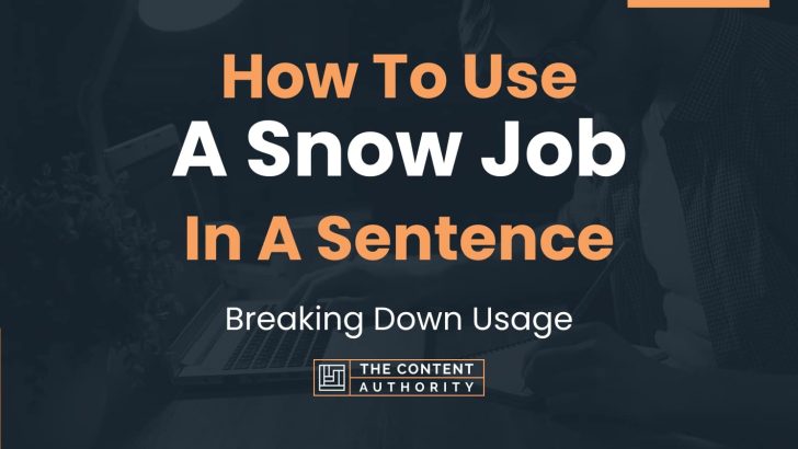 how-to-use-a-snow-job-in-a-sentence-breaking-down-usage