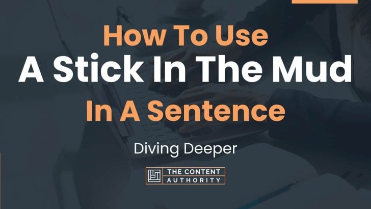 how-to-use-a-stick-in-the-mud-in-a-sentence-diving-deeper