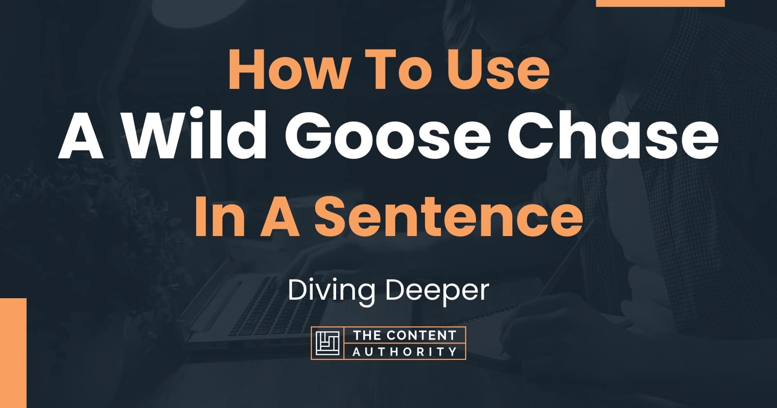 how-to-use-a-wild-goose-chase-in-a-sentence-diving-deeper