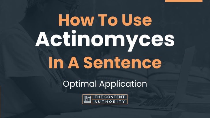 How To Use “Actinomyces” In A Sentence: Optimal Application