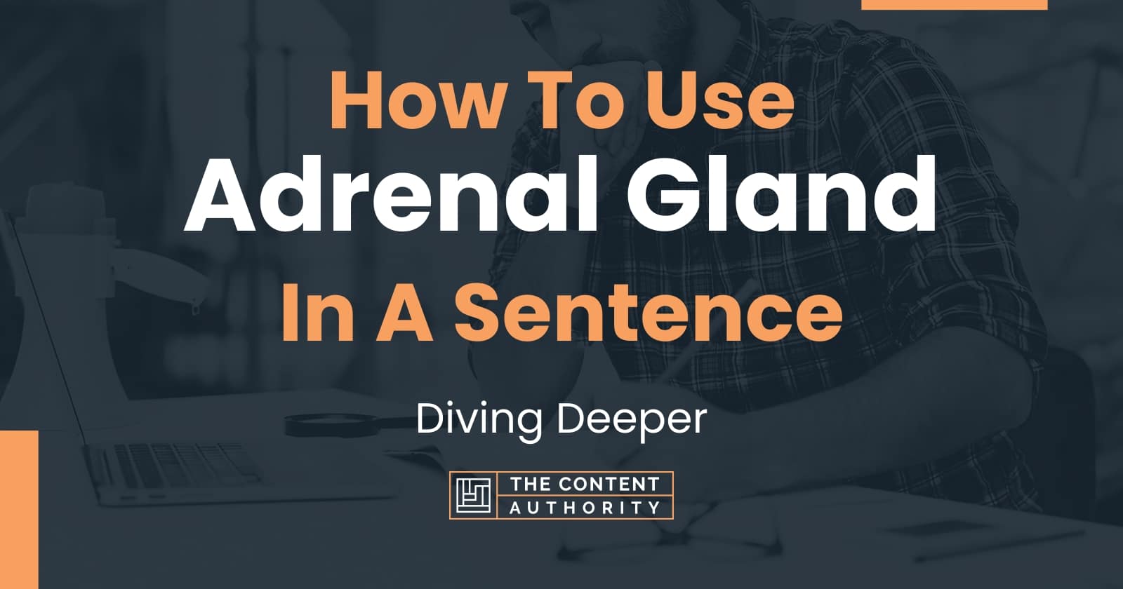 how-to-use-adrenal-gland-in-a-sentence-diving-deeper