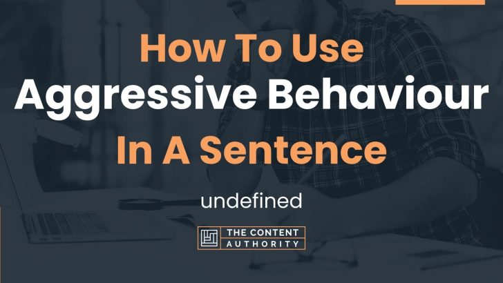 how-to-use-aggressive-behaviour-in-a-sentence-undefined